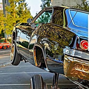 Meet your Posher, Benny